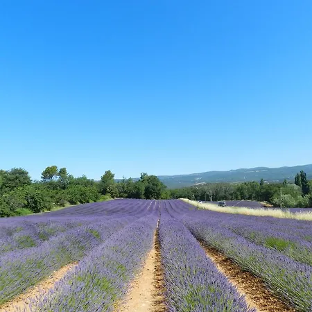 Sieste En Luberon Couette-café *