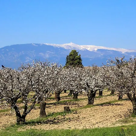 Sieste En Luberon *